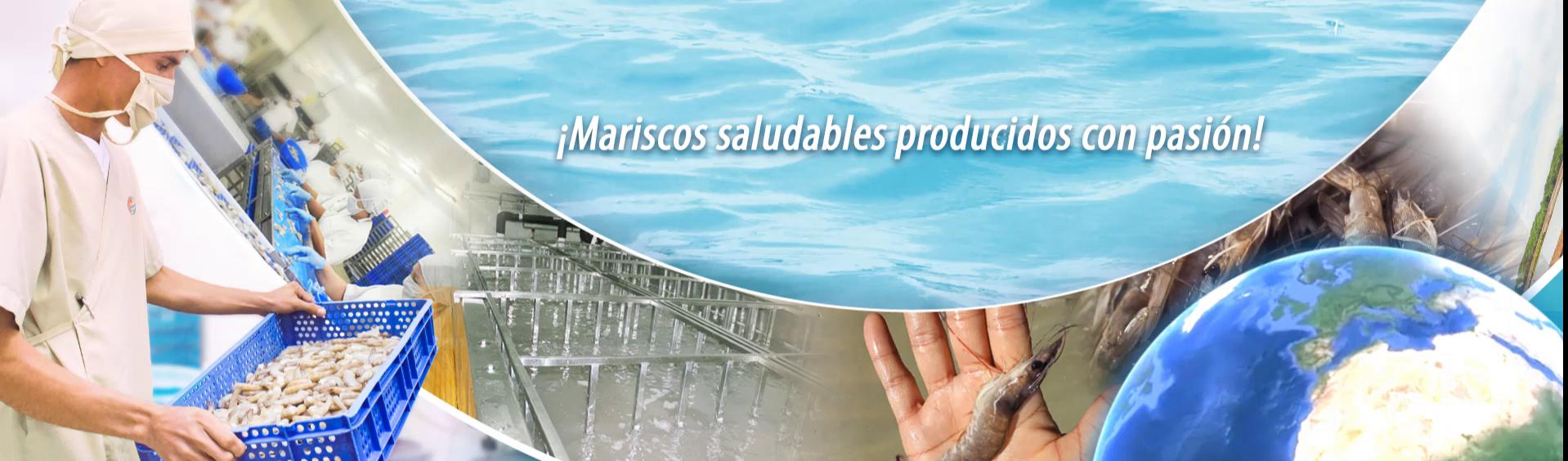 head-espanol6-pp.avi